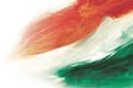 Indian Flag Colors